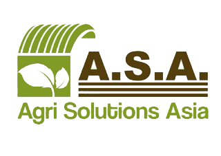 เจ้าหน้าที่บัญชีอาวุโส