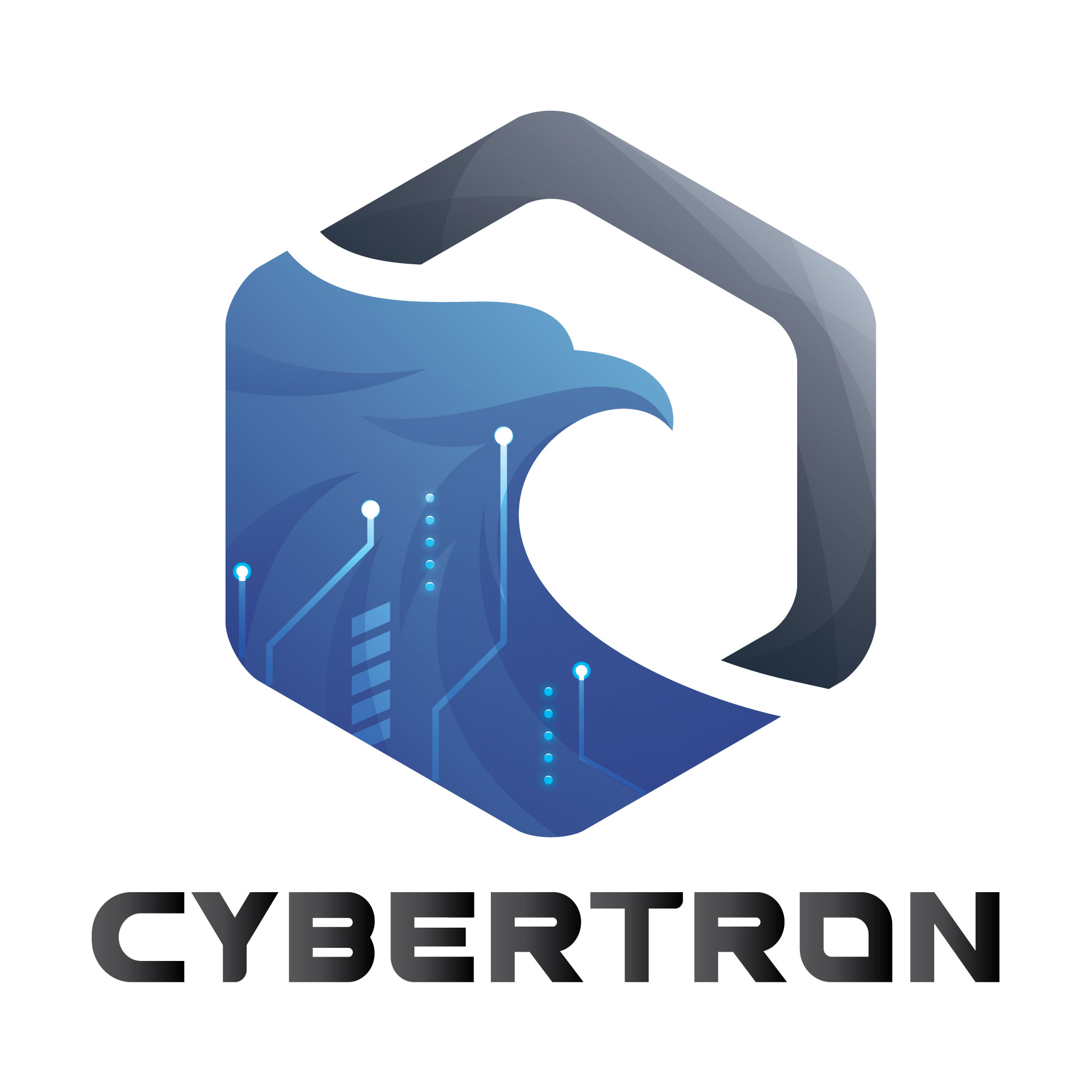 Cybertron Co., Ltd.
